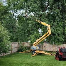 Trusted Hershey, PA Tree Removal and Landscaping Services Experts